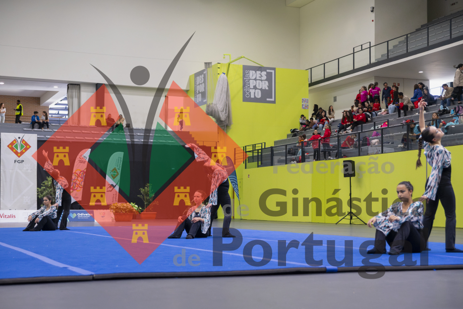 1949_Gym for Life Portugal